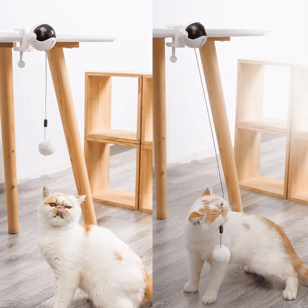 Automatic Lifting Cat Toy
