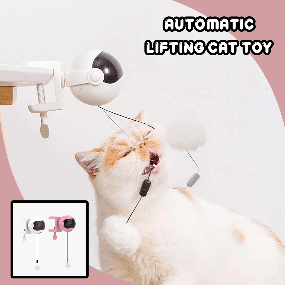 Automatic Lifting Cat Toy