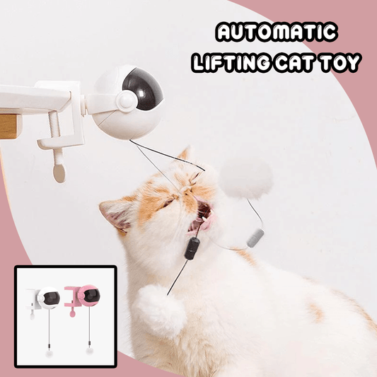 Automatic Lifting Cat Toy