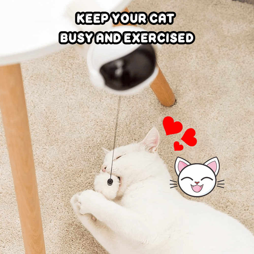 Automatic Lifting Cat Toy