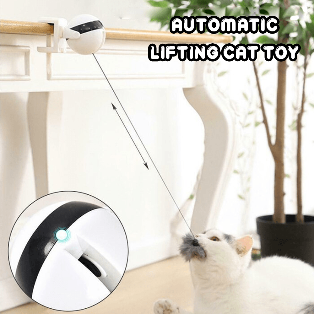 Automatic Lifting Cat Toy